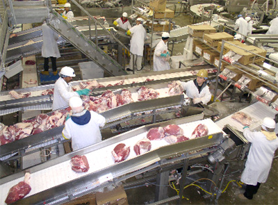 怎樣安裝拼接塑料鏈板