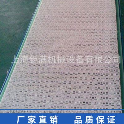 100P進(jìn)口原料塑料網(wǎng)帶